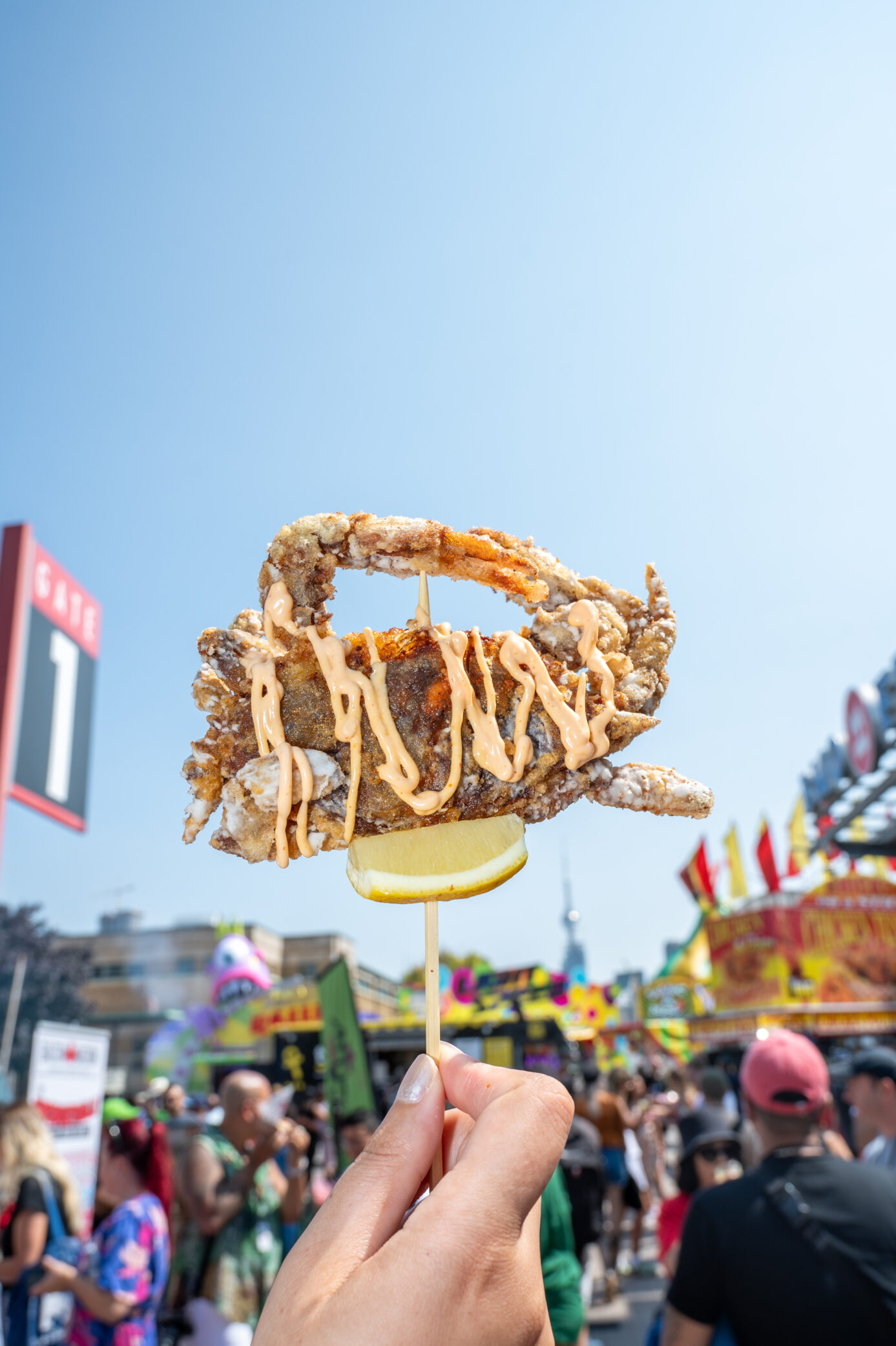 Fried crab on a stick against blue sky